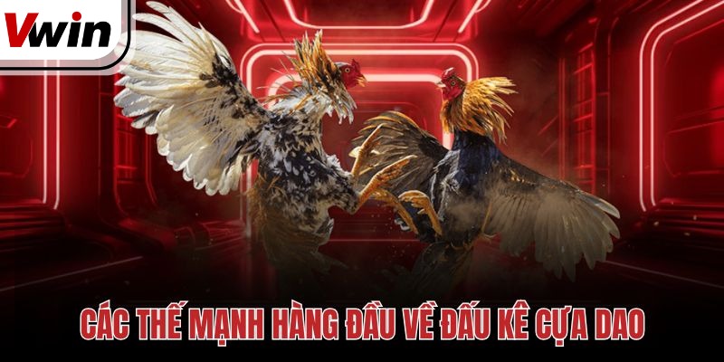 Các thế mạnh hàng đầu về đấu kê cựa dao