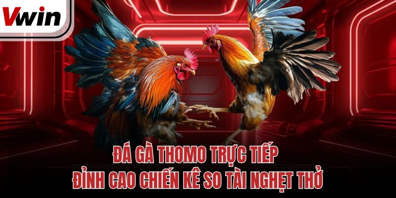 Đá Gà Thomo Trực Tiếp Đỉnh Cao Chiến Kê So Tài Nghẹt Thở