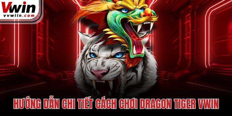 Hướng dẫn chi tiết cách chơi Dragon Tiger Vwin