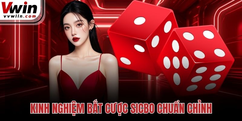 Kinh nghiệm bắt cược sicbo chuẩn chỉnh