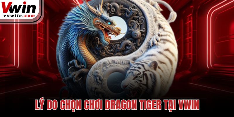 Lý do chọn chơi Dragon Tiger tại Vwin
