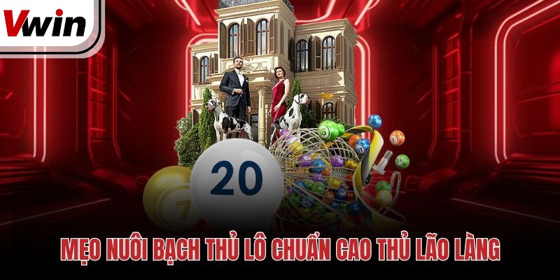 Mẹo nuôi bạch thủ lô chuẩn cao thủ lão làng