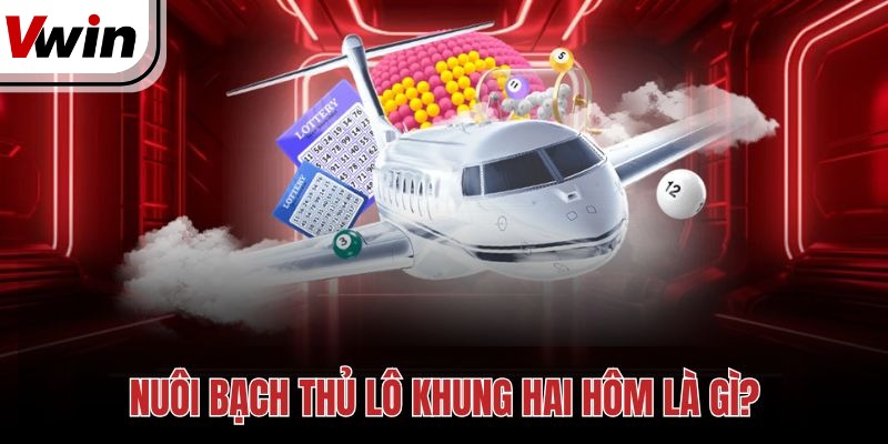 Nuôi bạch thủ lô khung hai hôm là gì?