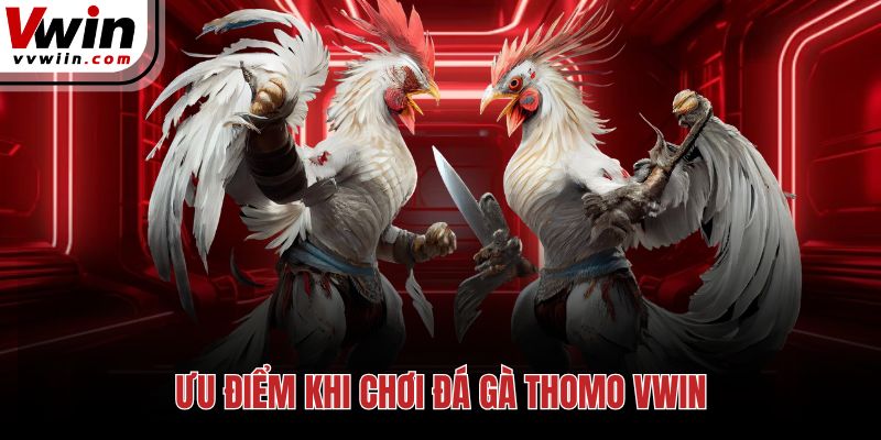 Ưu điểm khi chơi đá gà Thomo Vwin