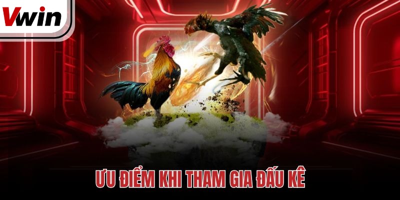 Ưu điểm khi tham gia đấu kê