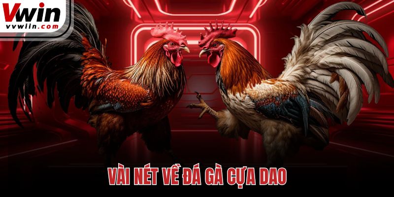 Vài nét về đá gà cựa dao